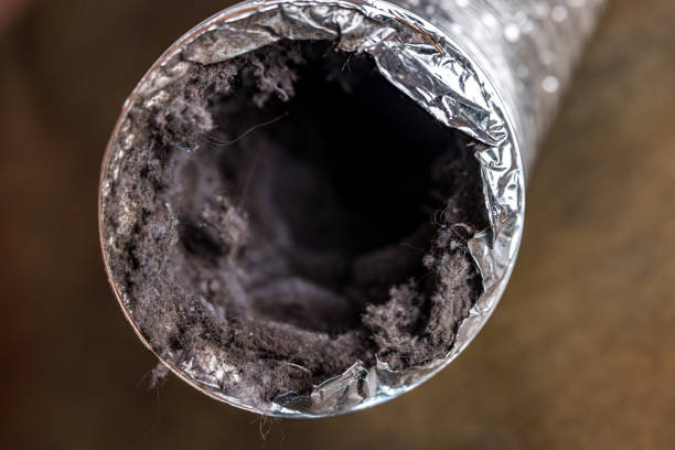 Best Home Air Vent Cleaning  in Lauderdale, MN