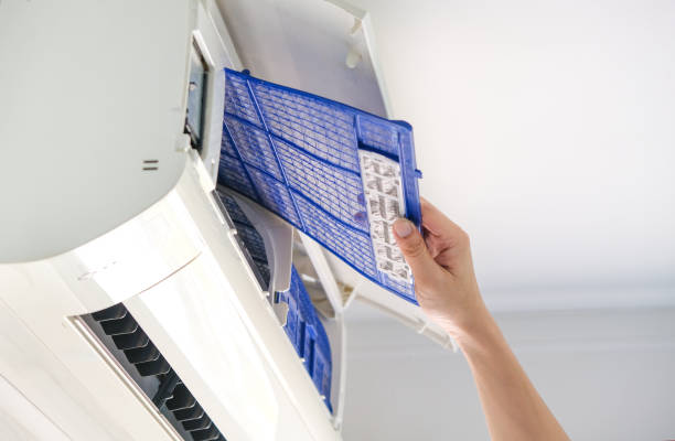 Best Affordable Duct Cleaning Services  in Lauderdale, MN